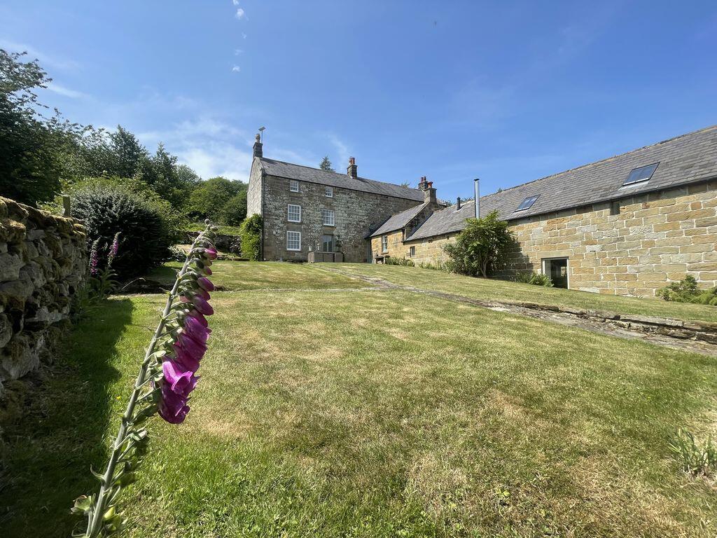 Castleton, Whitby - More