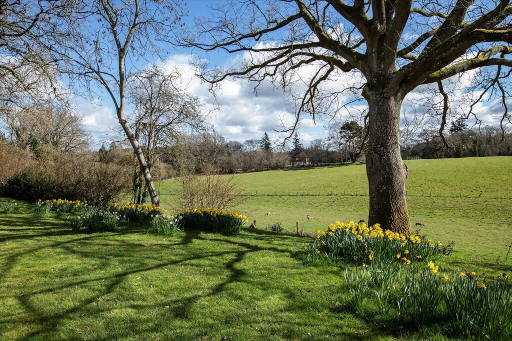 House in Waverley, Churt - View 5