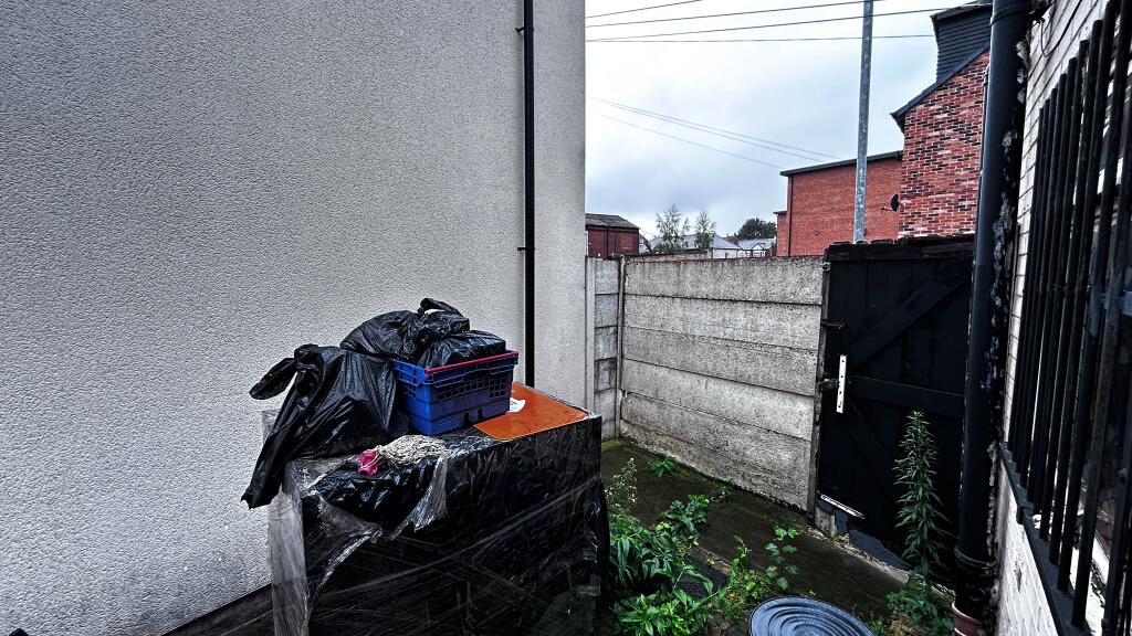 Rear Yard