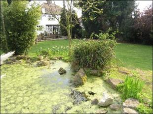Photo of the property