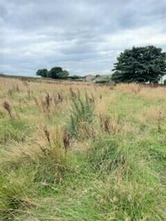 Land for sale in Coal Pit Lane, Bacup, OL13 – pohled 3