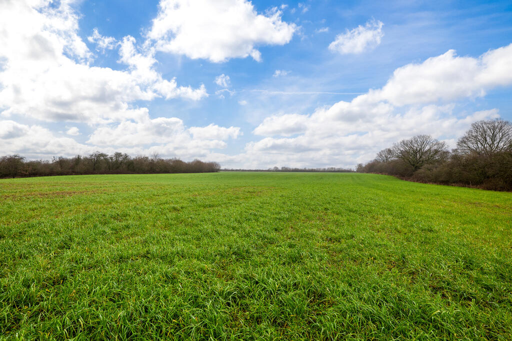 Main image of property: Lot 2 Comprising 12.87 Acres, Land At, Elkesley, Retford, Nottinghamshire, DN22 8AZ