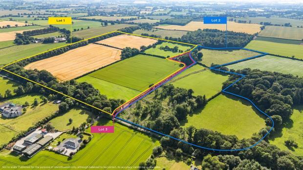 Main image of property: Lisnavagh, Co Carlow