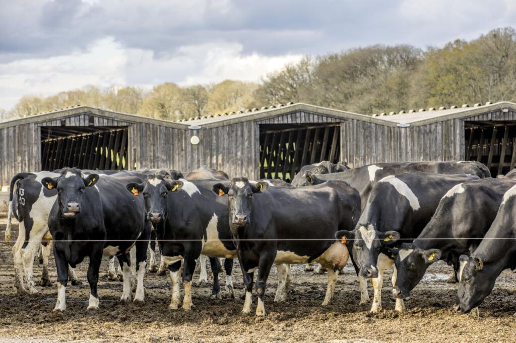 Blandys Farm