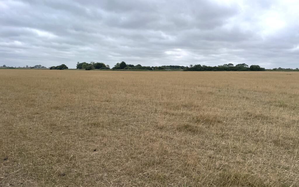 Main image of property: Lot 1 - Pasture Land At The Corkerets , Gravel Drove, Coveney, Ely, Cambridgeshire, CB6 2DG