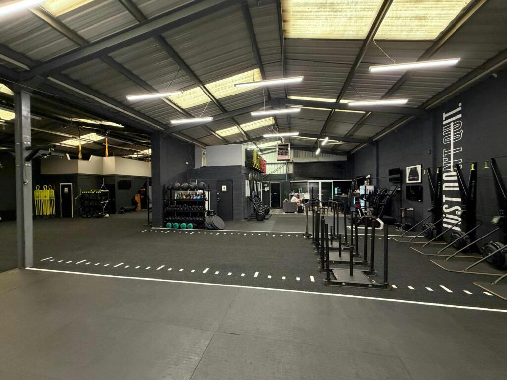 p5.jpg