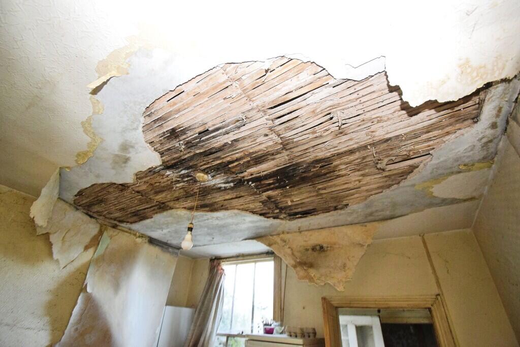 House in Wyre Forest, Aggborough, Kidderminster - More