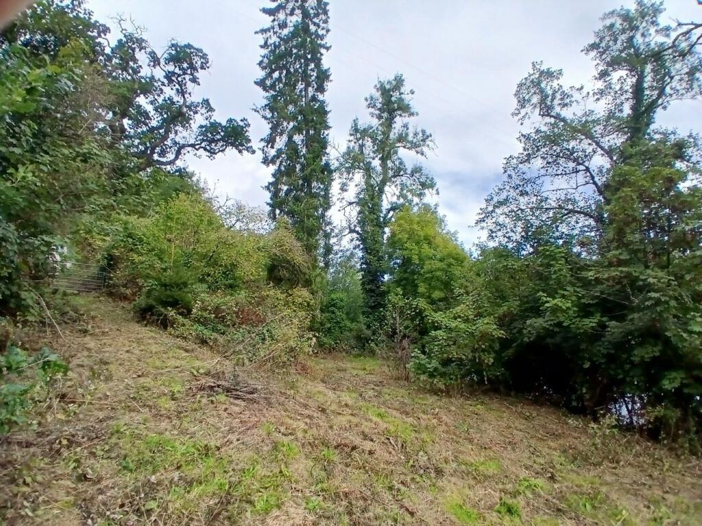 Abercych, Boncath, SA37 - View 5