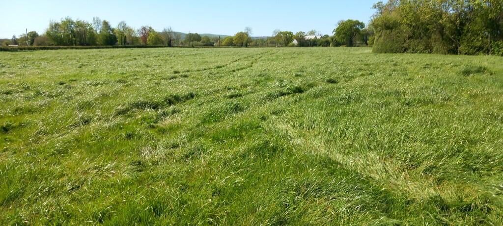 Main image of property: Kinnerton Lane, CH4