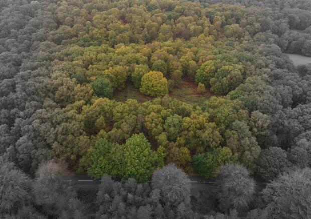 dji_fly_20261021_104248_0757_1792595309564_photo.j