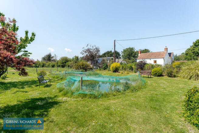 Fish Pond