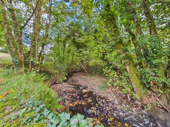 River Yeo (1).jpg