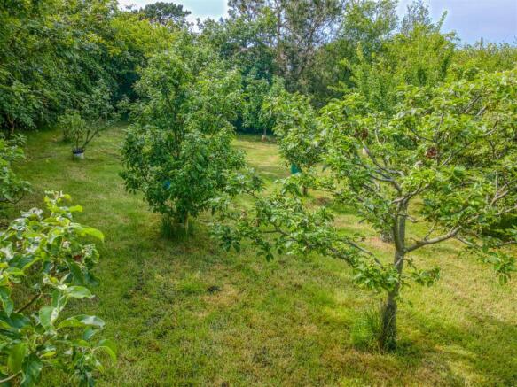 DJI_0562_HDR.jpg