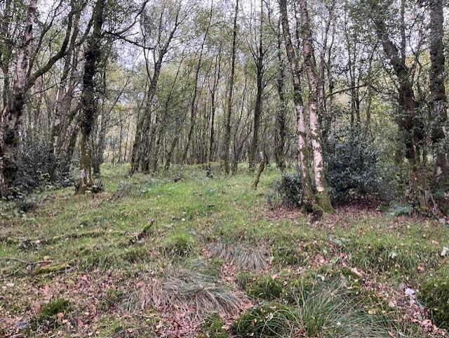 Main image of property: Nantmel, Rhayader