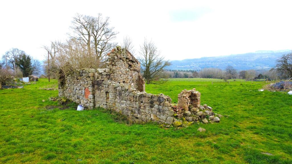 Penycae photo 4