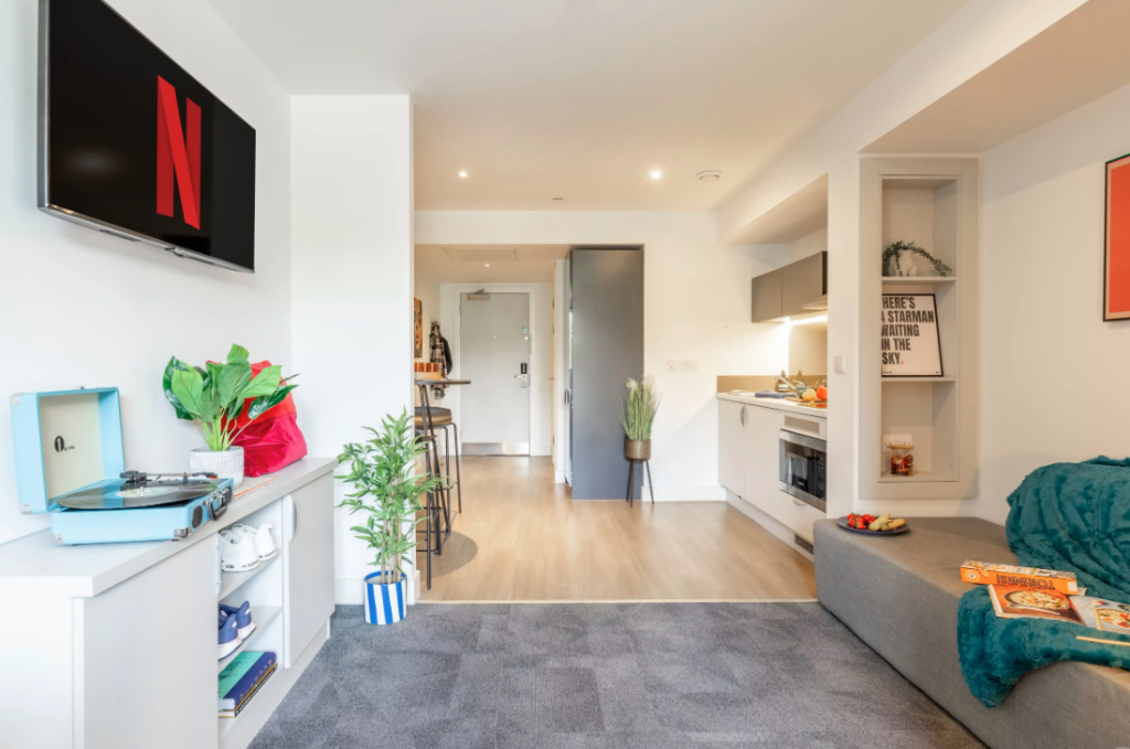 1 bedroom apartment for rent