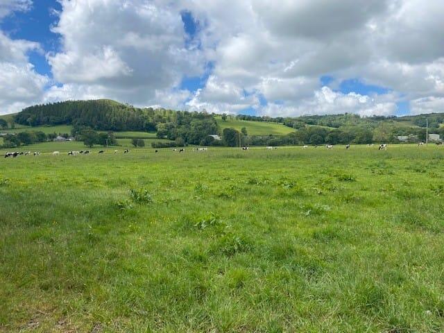 Felinfach, Lampeter, SA48 - View 3