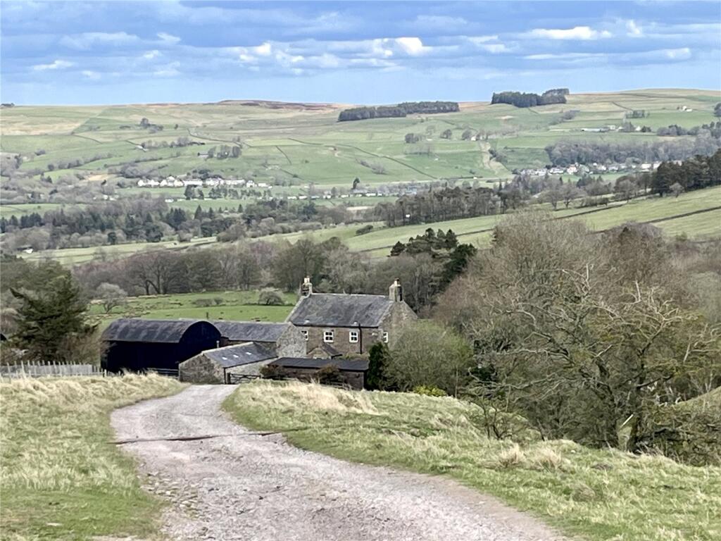 Keenley, Allendale, Northumberland, NE47, Northumberland