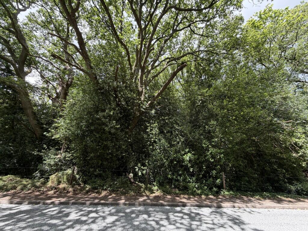 The Surveyors Pit, Gressenhall Road, Gressenhall, Dereham, Norfolk NR20 4HF - View 4