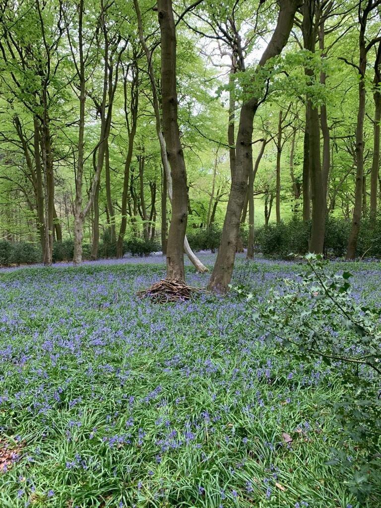 Main image of property: Checkendon, Reading, Oxfordshire