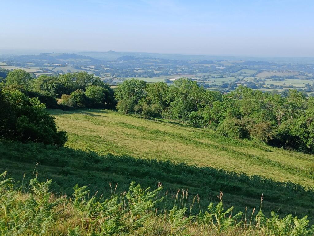 Additional image 19 of Between Wells and Cheddar
