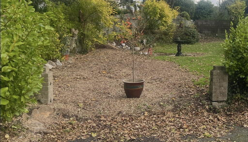 Main image of property: Site At 16 Shrewsbury, Ballinlough, Cork