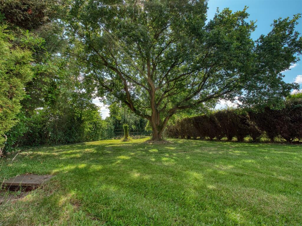The Cottage, Little Liverpool, Coton-In-The-Elms photo 4