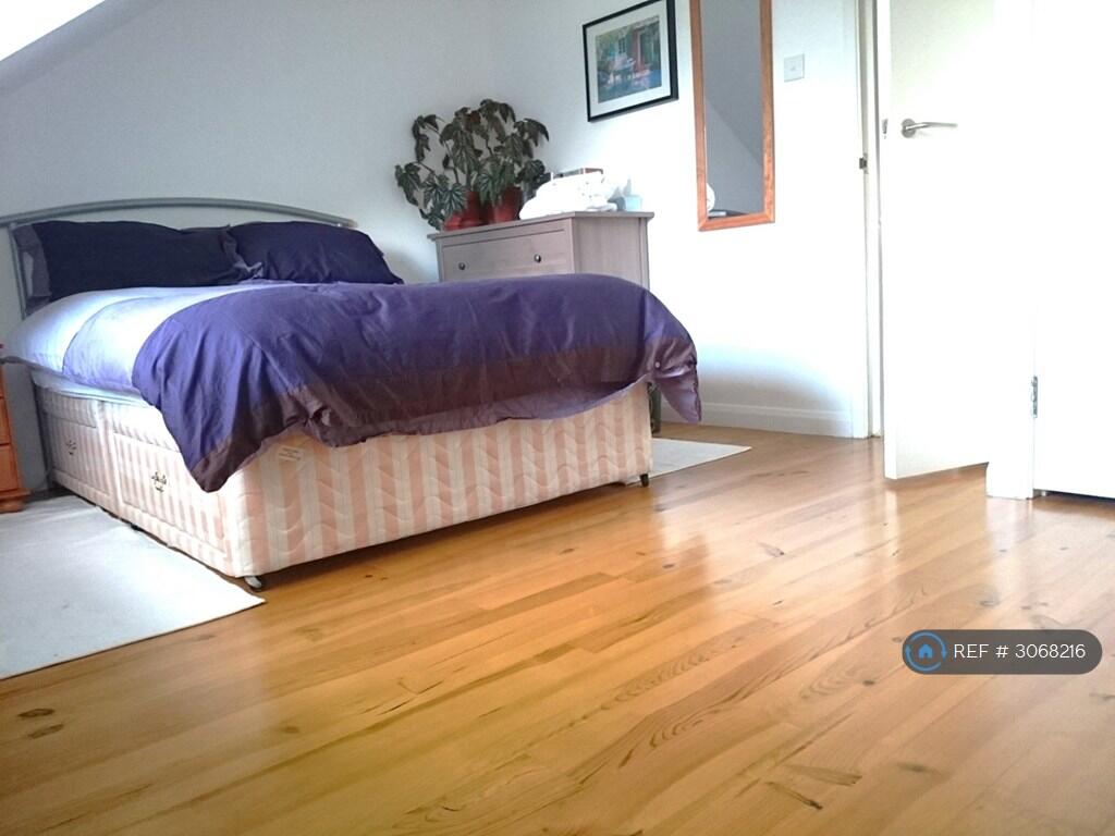 House in London, Ferme Park, Stroud Green - More