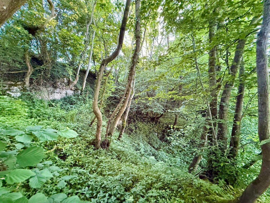 Main image of property: 1.40 Acres of Woodland, West Witton