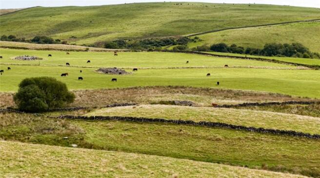 Farmland