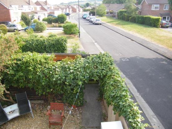 Photo of the property