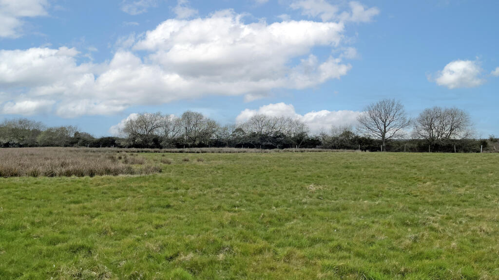 The eastern part of the site remains dry.
