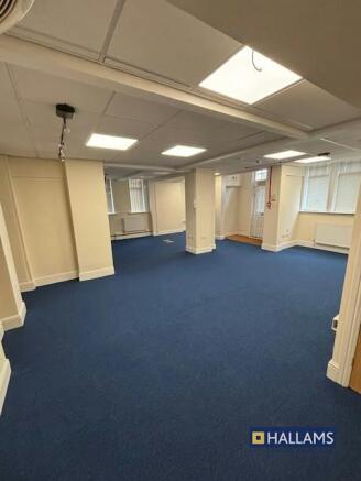 IMG_5438.jpg