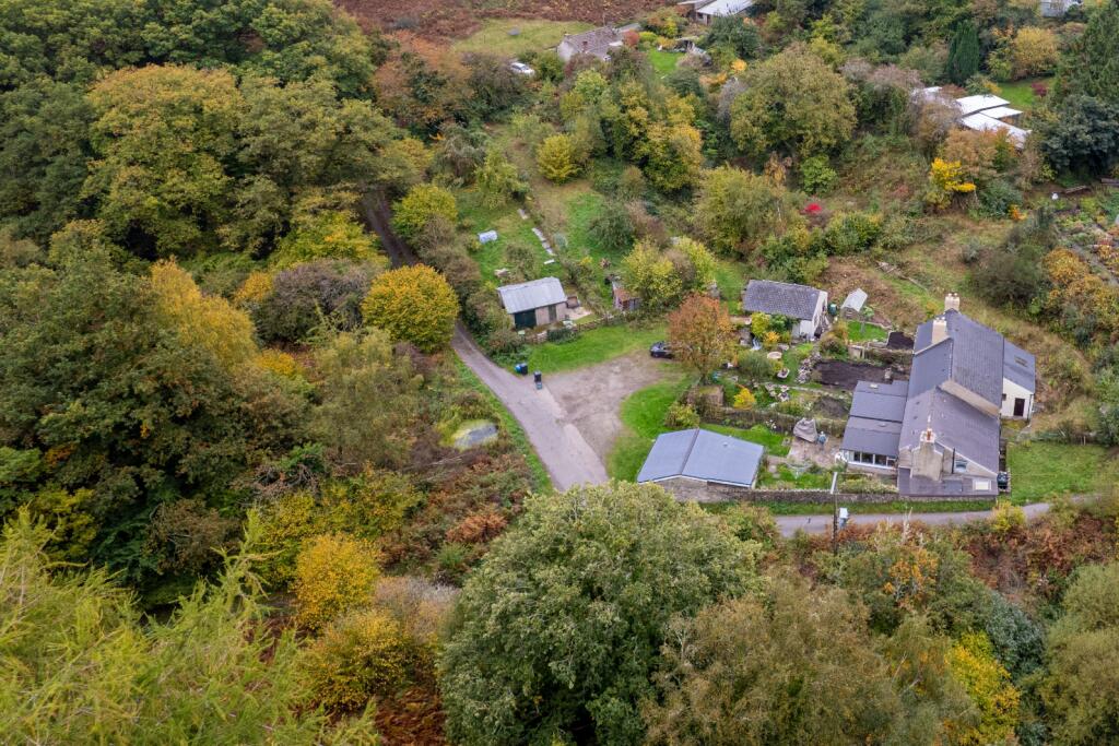 + Self Contained Annexe, Little Drybrook, Coleford photo 2