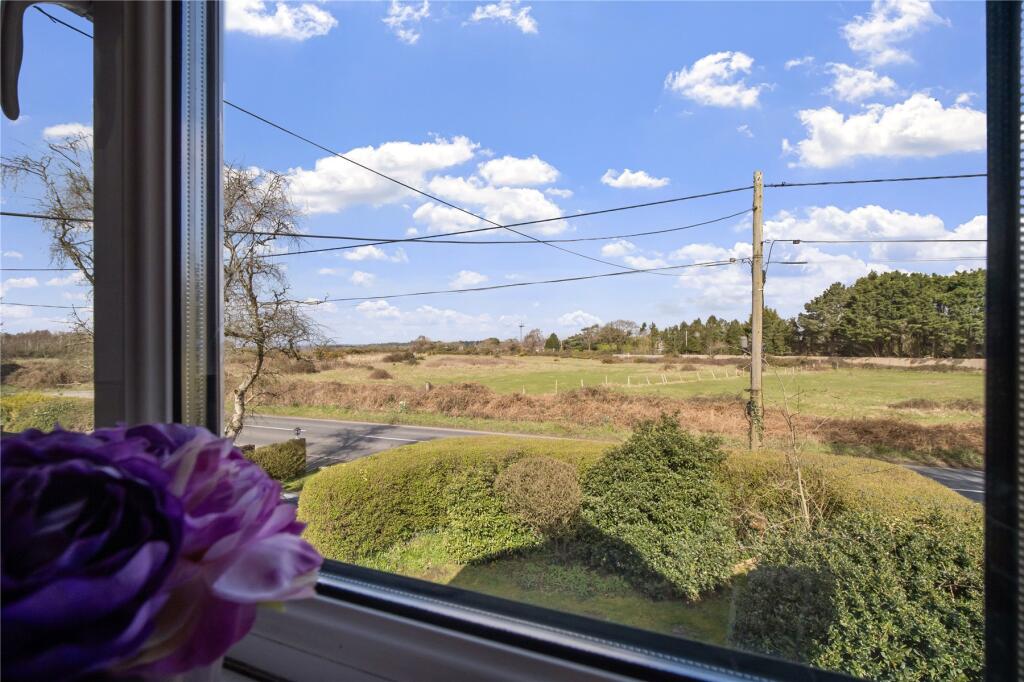 Wareham, Dorset photo 3