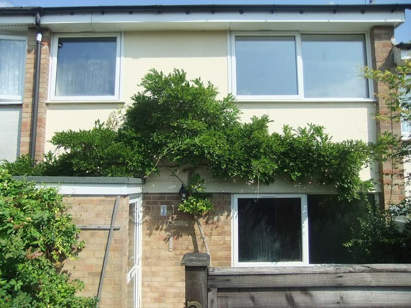 Photo of the property