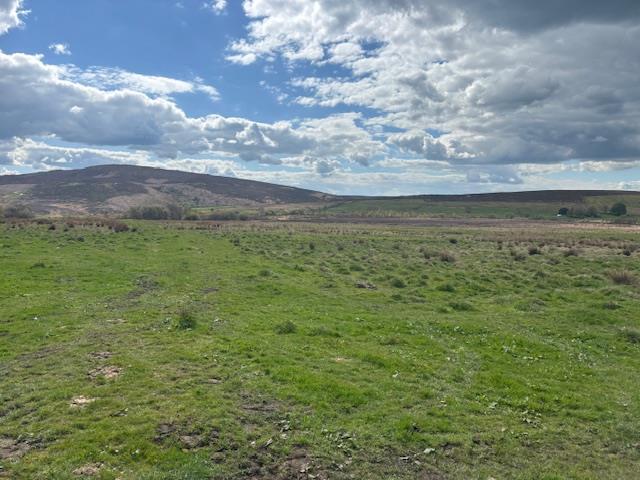 Main image of property: LOT TWO, Land at Goldsitch Moss, Quarnford, Buxton