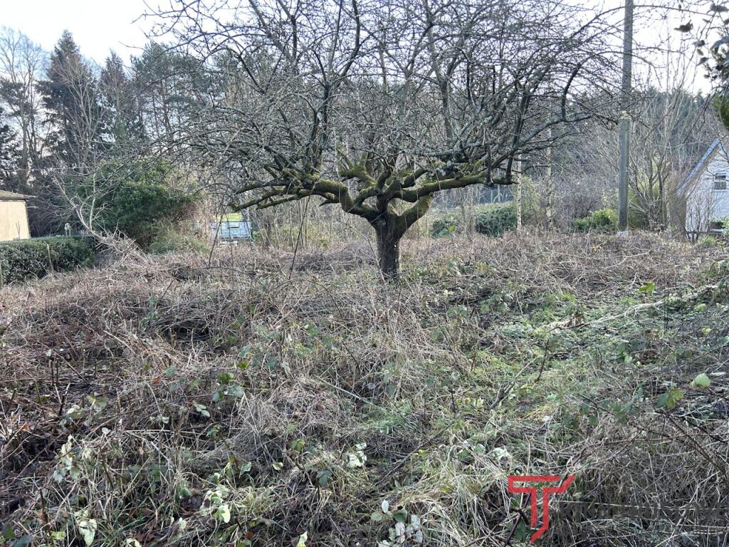 Additional image 4 of Site on Laurel Bank, Blackwell, Bromsgrove, B60 1PD