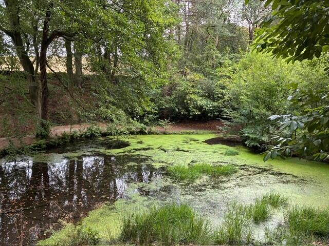 Main image of property: Burn Newhouse and Green Wood, Denby Dale & Upper Cumberworth