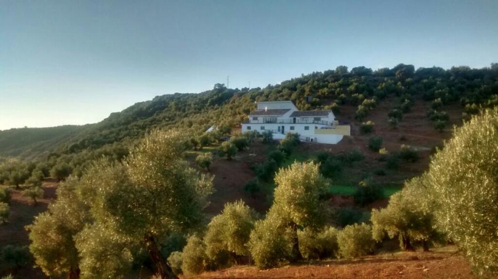 Main image of property: Montoro, Andalucia, Spain