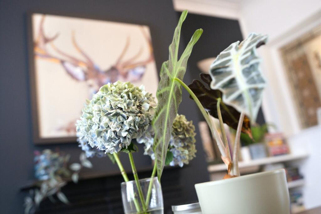 House in St Albans - View 5
