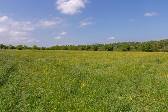 Escomb Nature Reserve