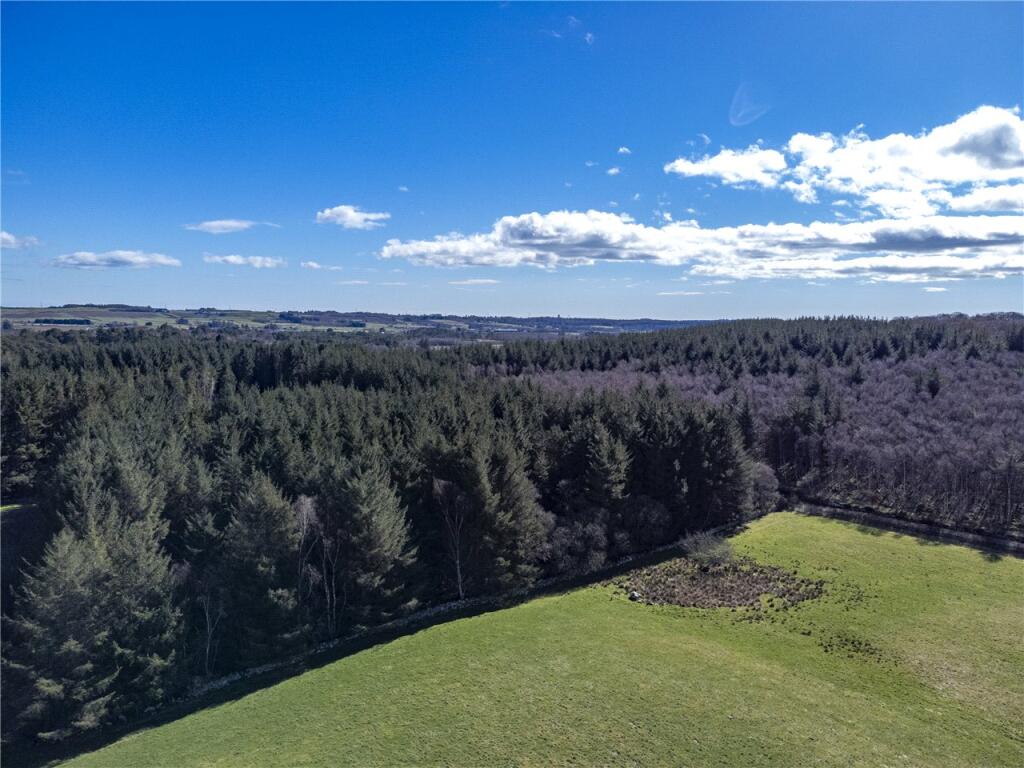 Kinkell Wood, Cothal, Aberdeen, AB21
