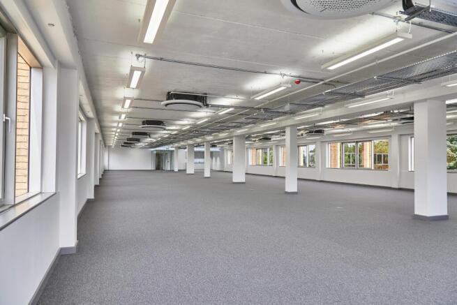 Conventional open plan office