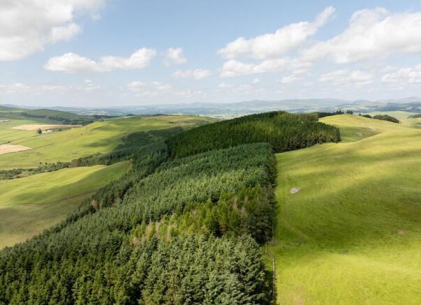 Lot 3 Forestry