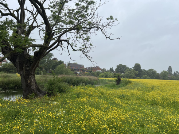 Land at Mancetter