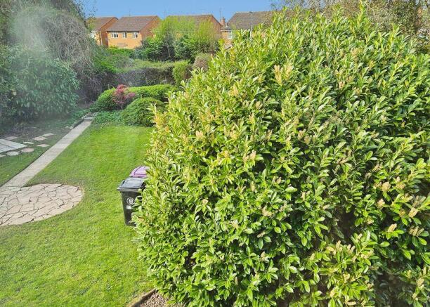 Rear Garden / Plot
