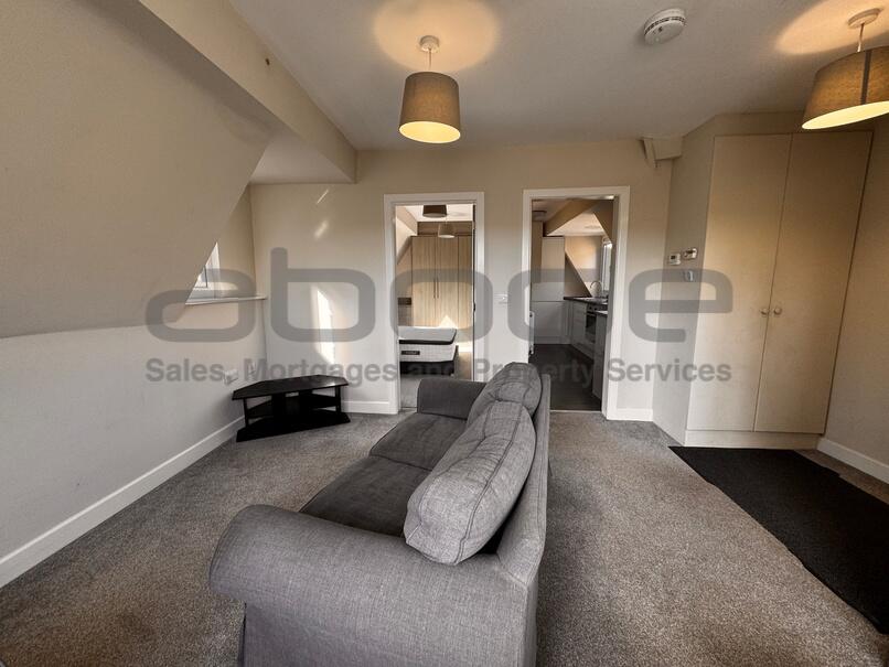 1 bedroom penthouse for rent