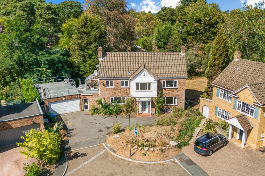House in Weybridge - More