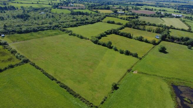 dji_fly_20260612_145542_91_1781272579396_photo_opt